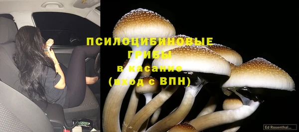 каннабис Ельня