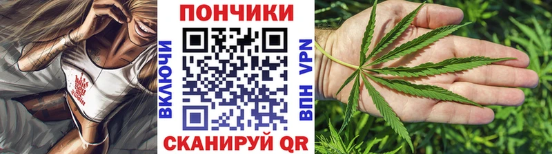 Конопля SATIVA & INDICA  дарнет шоп  Ядрин 